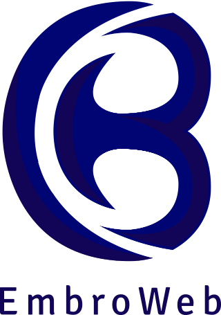 embroweb logo